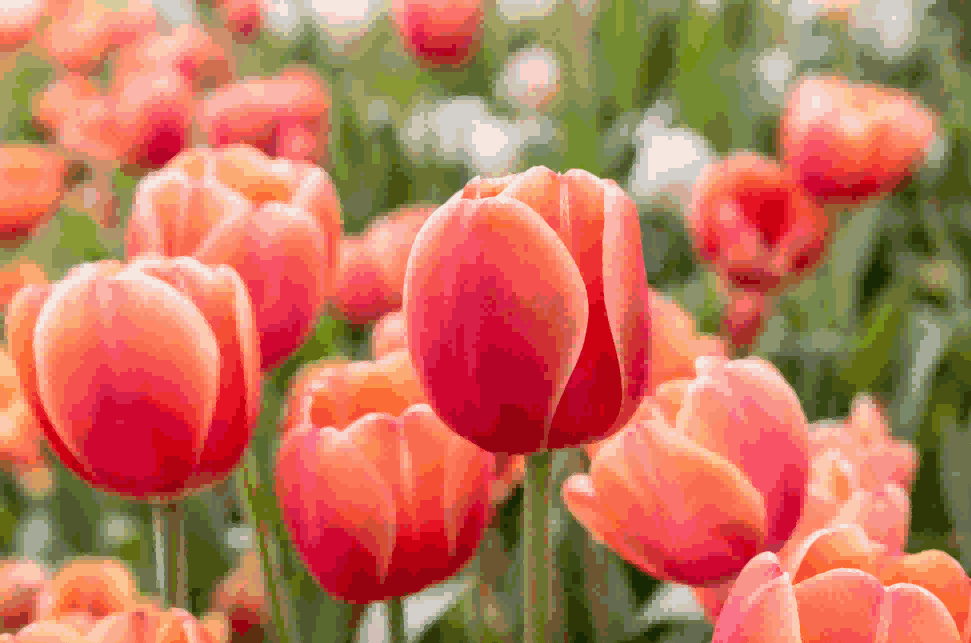 海关数据,K8凯发(中国)海关数据,荷兰海关数据 海关数据,K8凯发(中国)海关数据,荷兰海关数据