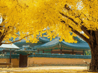 韩国外贸数据,外贸数据,K8凯发(中国)外贸数据 韩国外贸数据,外贸数据,K8凯发(中国)外贸数据