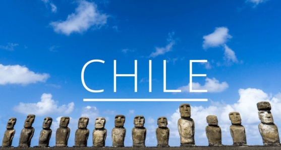 智利热销产品 智利热销产品