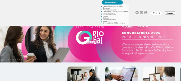 智利官方贸易网站